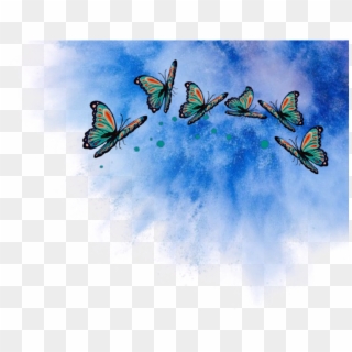 Png Butterflys Schmetterling Explosion Blau Wolke , - Lycaenid Clipart