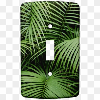 Palms Iphone & Ipod Skin - Palm Leaves Clipart