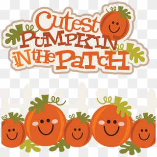 Pumpkin Patch Png - Clip Art Cute Pumpkins Transparent Png
