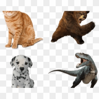 Animals And Their Young Ones Cat Kitten Clipart