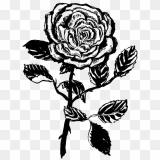 Brassneck - Garden Roses Clipart