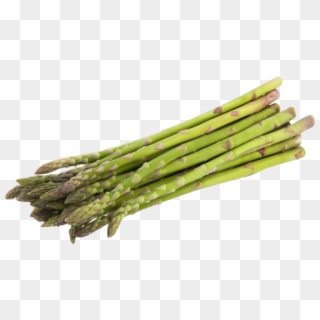 Asparagus Green Clipart