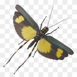 Grasshopper Png Clipart Background - Grasshopper Flying Transparent Png