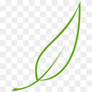 Green, Outline, Drawing, Leaf, Cartoon, Free, Color - Leaf Clipart Vector - Png Download