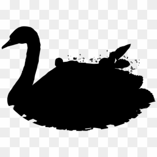 Download Png - Black Swan Clipart