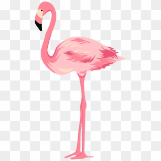 Flamingo Pink Swans Clipart