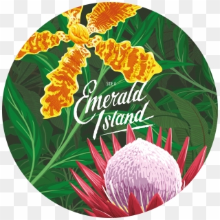 Emerald Island Ep Limited Edition - Caro Emerald Emerald Island Clipart