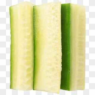 Cucumber Slices - Cucumber Clipart
