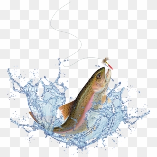 Salmon For Free Download On Mbtskoudsalg - Jumping Trout Clipart