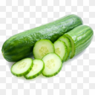 Fresh Cucumber Clipart