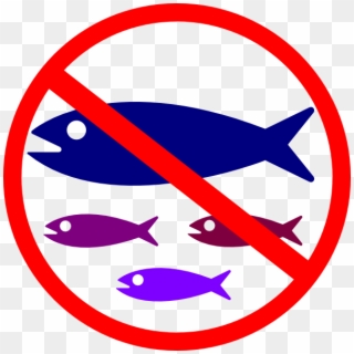 Small - No Fish Clipart - Png Download
