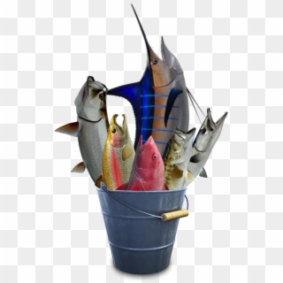 Bucket O Fish - Bucket Icon Clipart