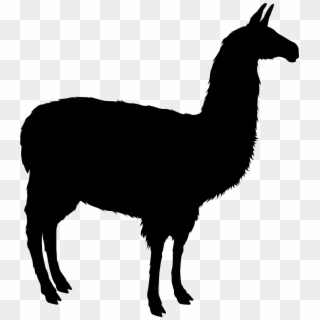 Download Png - Black And White Llama Silhouette Clipart