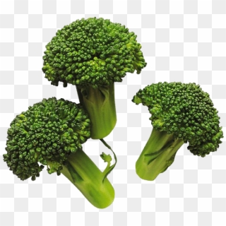Broccoli Png Image - Broccoli Png Clipart