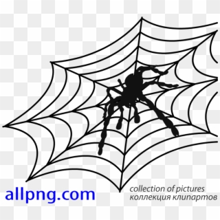 Spider Web Vector Png - Spider Web Clipart