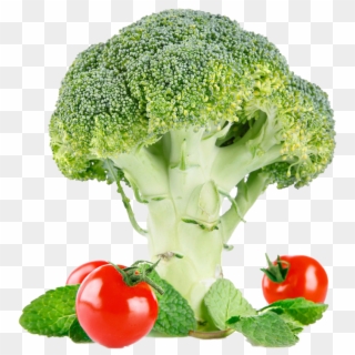 Broccoli - Sprouting Broccoli Clipart
