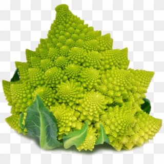 Vega Romanesco Broccoli - Cauliflower Clipart