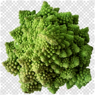 Vegetable Clipart Broccoli Cauliflower Cabbage - Png Download