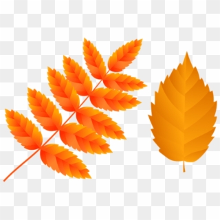 Free Png Two Orange Fall Leaves Png Images Transparent - Illustration Clipart
