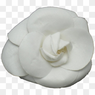Chanel White Flower Png Clipart