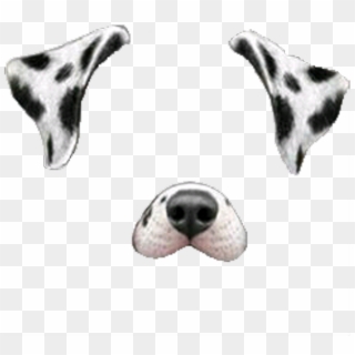 Deceasedboundmon Sticker - Transparent Snapchat Dog Filter Clipart