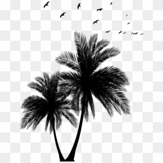 Palms And Flock Silhouette Png Clip Art Image Transparent Png