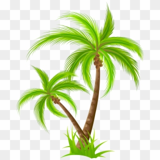 Palm Png Clip Art - Palm Tree Clipart Png Transparent Png