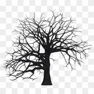 Tree, Digital Art, Isolated, Without Leaves, Leafless - Dead Trees Clip Art - Png Download