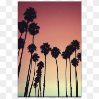 Tropical Palms - Iphone Xs Wallpaper Beach Clipart