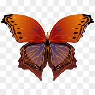 Butterfly Png Images Png - Brush-footed Butterfly Clipart