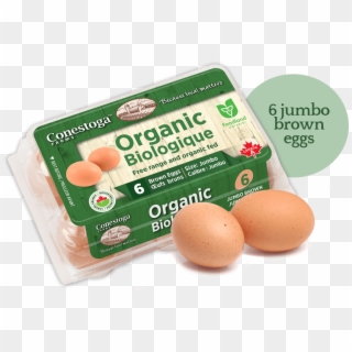 Organic Eggs - Egg Clipart