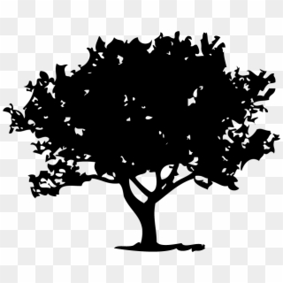 Fig Tree Marketplace Site Icon - Fig Tree Silhouette Png Clipart