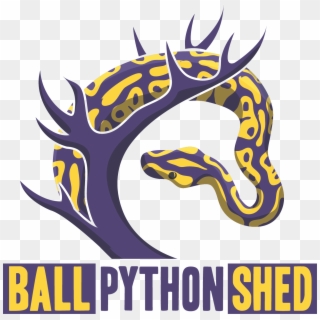Python Logo Clipart Ball Python - Illustration - Png Download