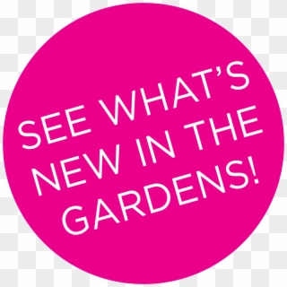 Take A Look At What's Going On In The Gardens This - Printing.com Carlisle Clipart
