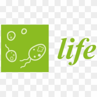 Life Png Images - You Don T Need Negativity In Your Life Clipart