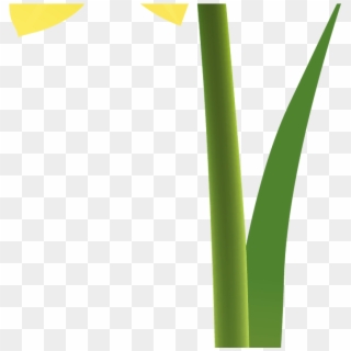 Spring Yellow Daffodil Png Clipart Gallery Yopriceville - Grass Transparent Png