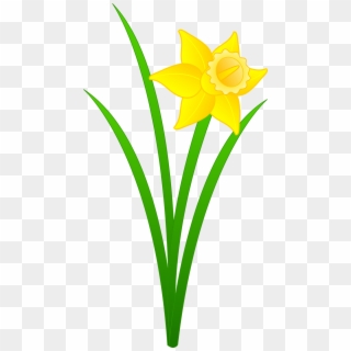 Daffodil Flower Clip Art N3 - Daffodil Clipart - Png Download