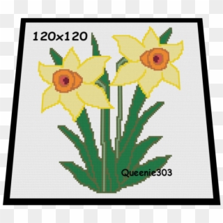 Daffodil - Narcissus Clipart