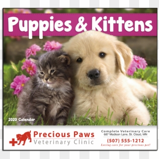 Picture Of Puppies & Kittens Wall Calendar - Thank You Kittens And Puppies Clipart