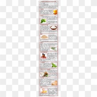 1a - Vegetarian Food Clipart