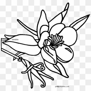 Colorado State Flower Drawing - Columbine Flower Images Clipart - Png Download