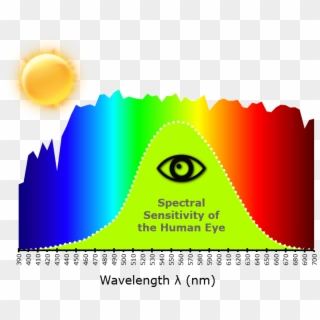 The Language Of - Visible Spectrum Eye Sensitivity Clipart