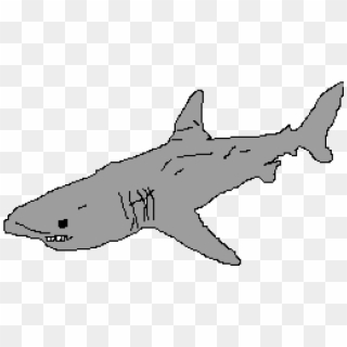 3d Great White Shark - Great White Shark Clipart