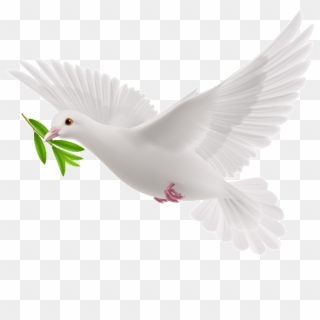 This Graphics Is Peace Dove Cartoon Transparent About - Animated Peace Dove Gif Clipart