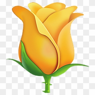 #emoji #emojisticker #sticker #sticker #yellowrose - Transparent White Rose Emoji Clipart