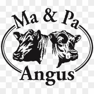 Ma And Pa Angus - Black Angus Bull Logo Clipart