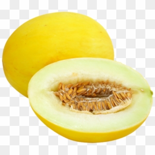 Honey Melon - Yellow Melon Clipart