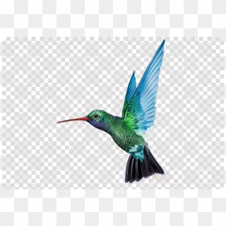 Hummingbird Png Clipart Hummingbird - Caribbean Airlines Logo Png Transparent Png