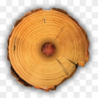Timber Tote Log Top View - Tree Stump Wood Rings Clipart