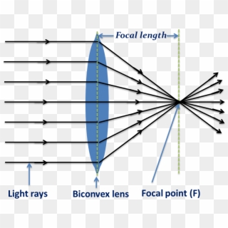 Biconvex Len- Converging Light Rays - Light Clipart
